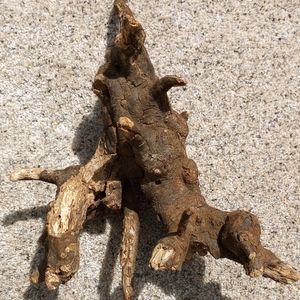 Terrarium Aquarium Decor Drift Wood Tree Root All Natural